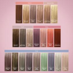 CHI Tone & Gloss Swatch book